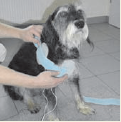 flauschband
